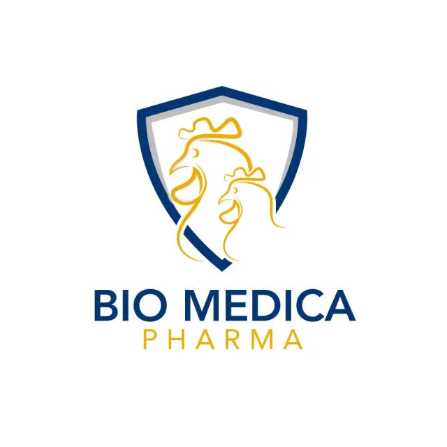 Logo Design 07