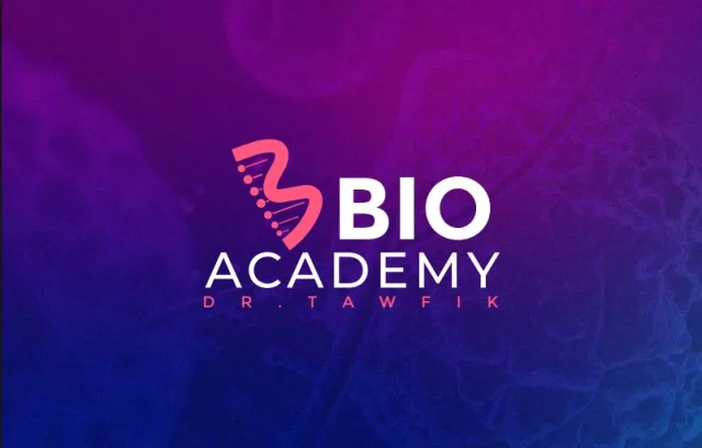 Brand Identity 03